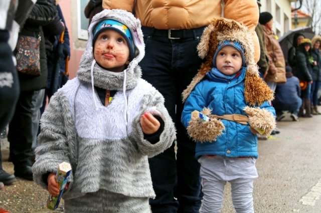 Faschingsumzug 2023 (Fotos Rochus Hetzendorfer)